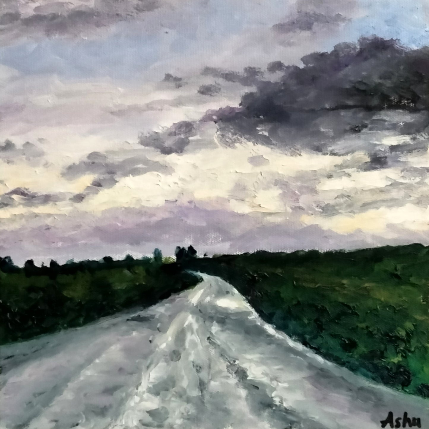 Ireland landscape wet road disappearing into the horizon under the cloudy morning sky