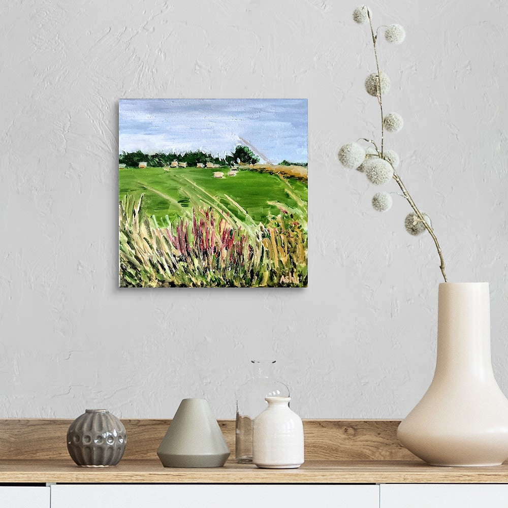 "Hayfield of Ireland"