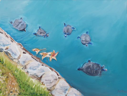 painting of a family of turtles gently swimming by the lake shore creating ripples in the turquois water