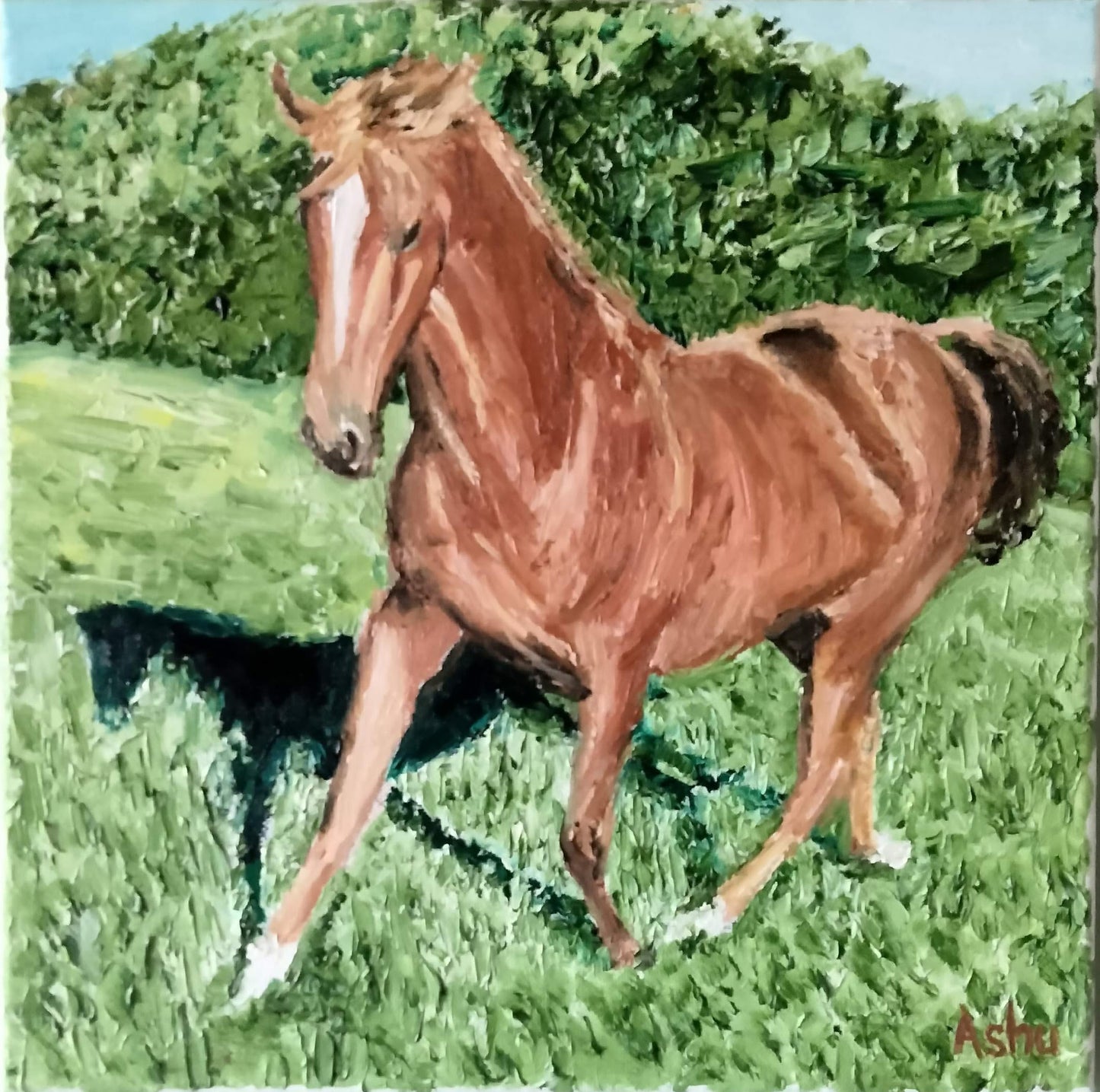 #Horse in the #Meadows - Ashu's Art