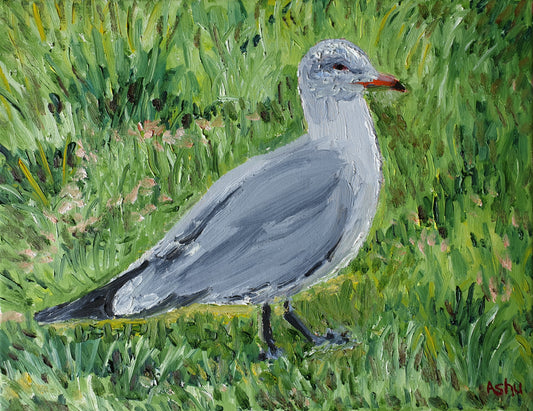 painting of a California Seagull sitting on a green lawn
