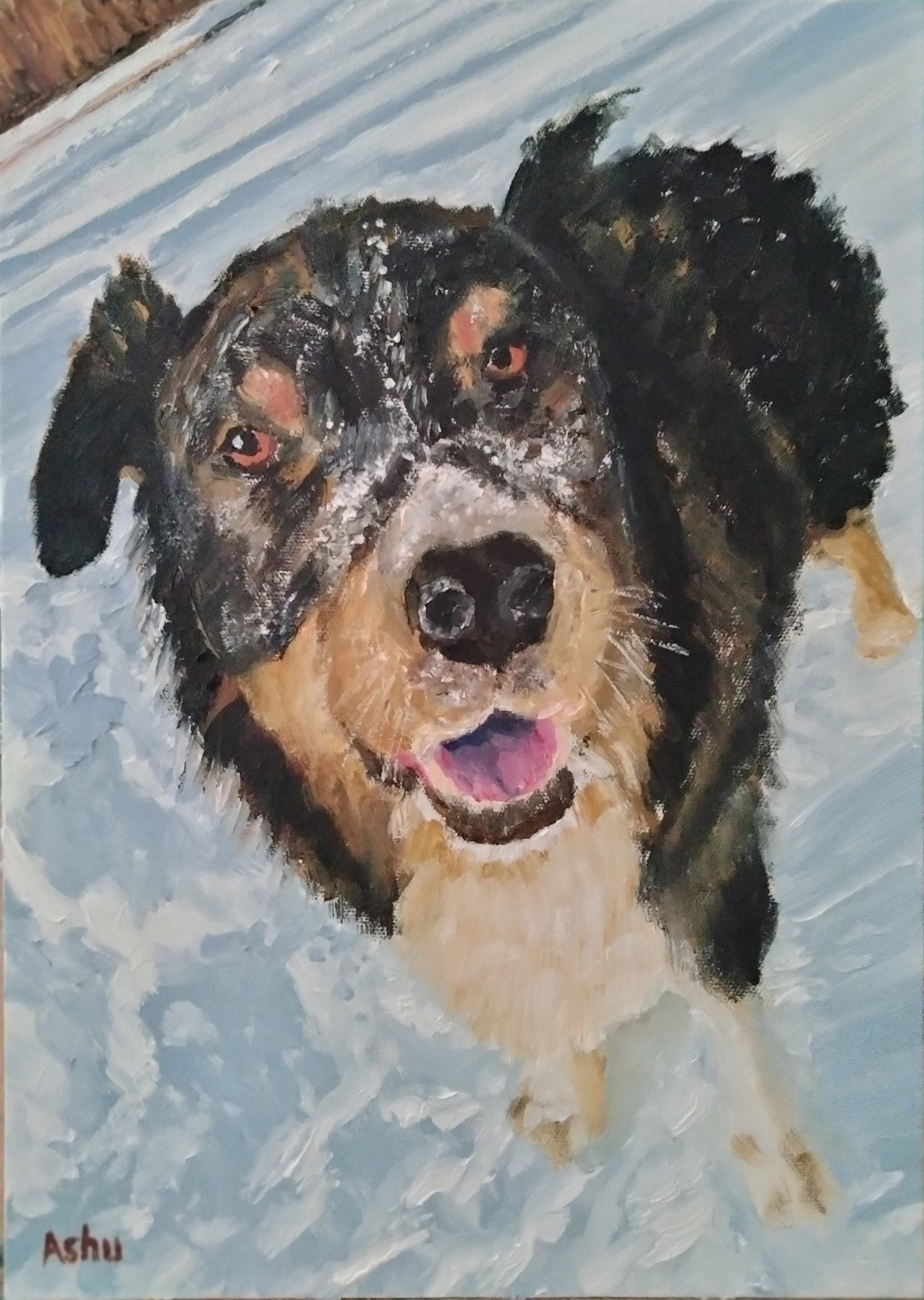 Painting of a Belgian Malamute dog, looking ecstatic and surprised to see the vast meadows covered in a layer of snow
