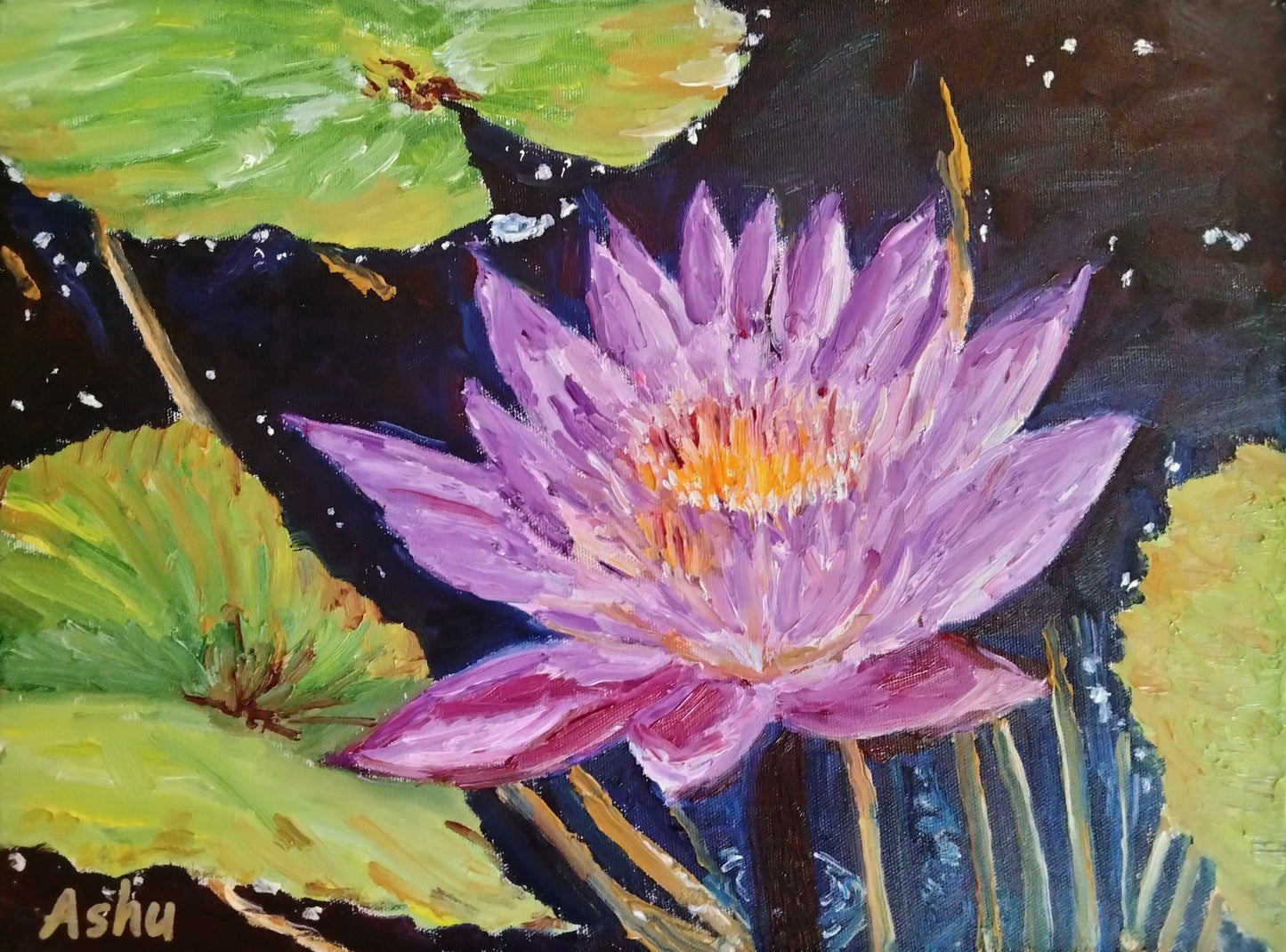 "Water Lily"