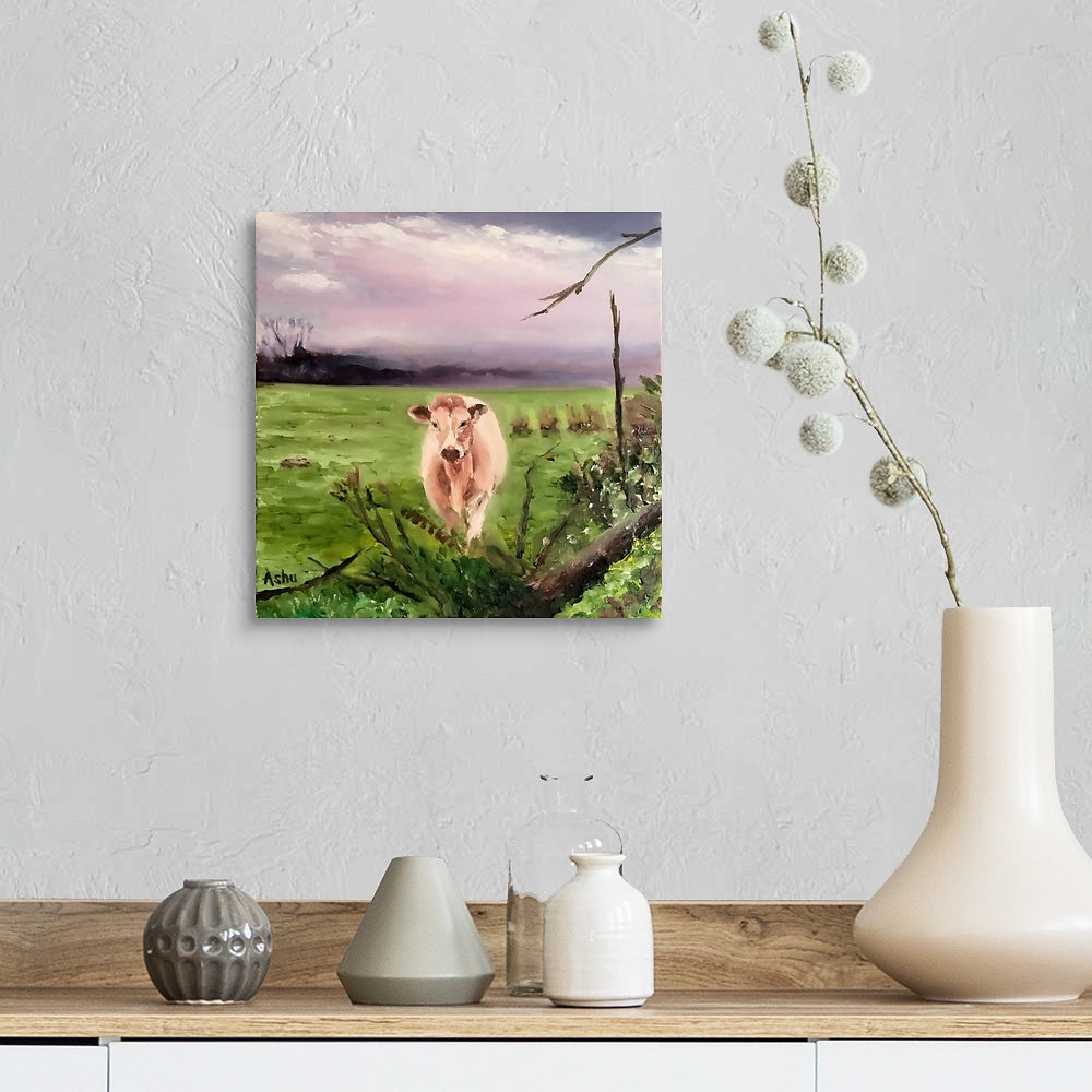 "Jersey Cow in the Field"