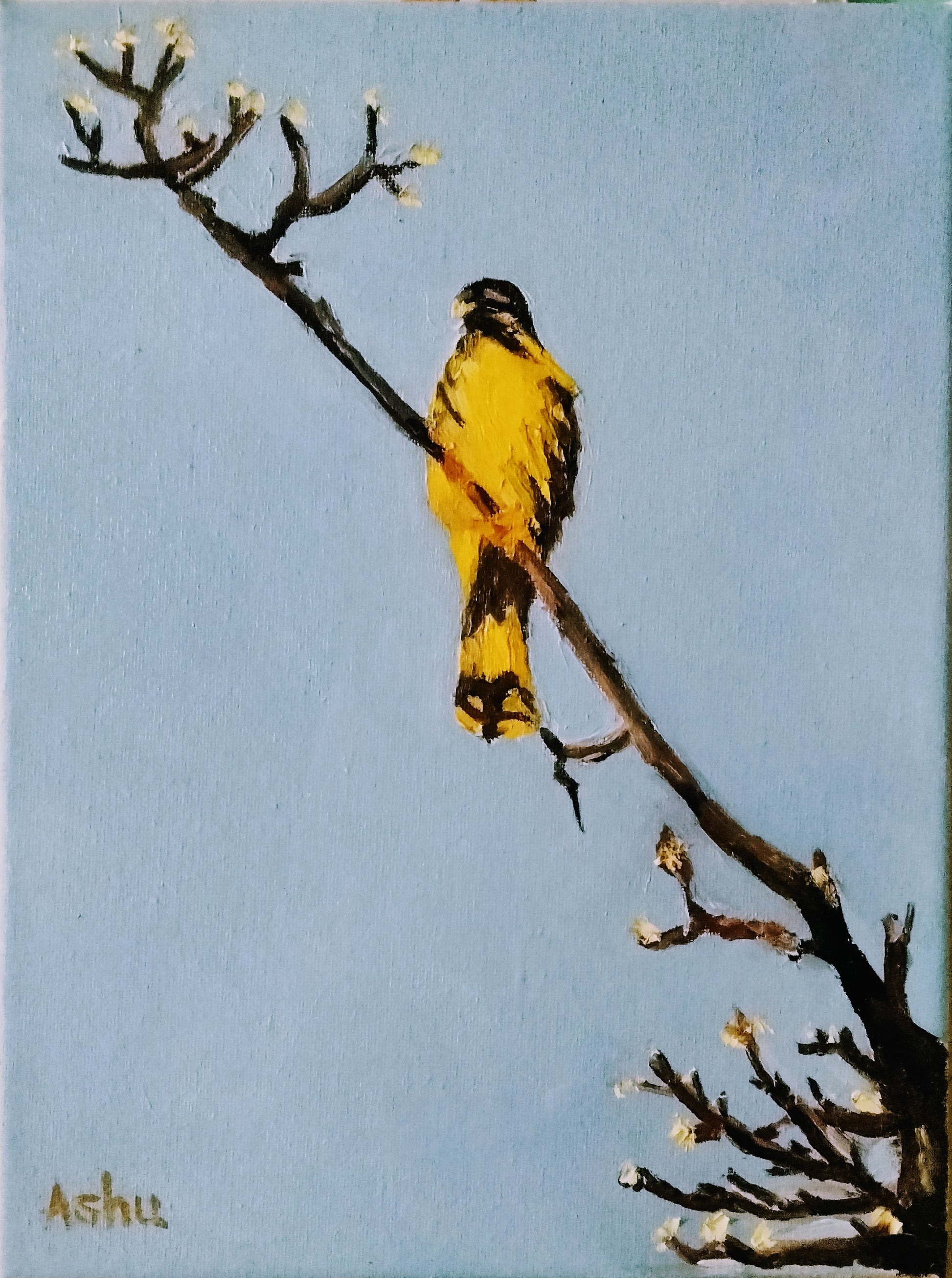Nature painting of bright yellow feathered kestrel falcon sitting atop the highest branch, with clear blue sky